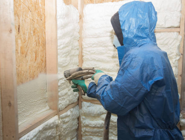 Types of Insulation We Offer in Westminster, SC